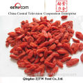 Goji Berries, Medicinal Organic Goji Berries Hot Sell